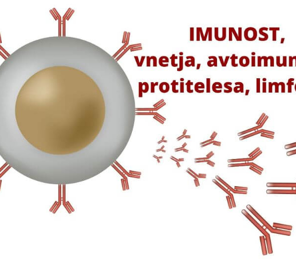 amritana IMUNSKI sistem, odpornost, vnetja, avtoimunsko,protitelesa, limfociti