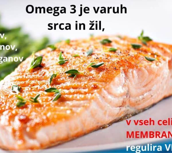 Omega-3-mascobne-kisline-za-zdravje-srca-zil-sklepov-mozganov-oci-organov