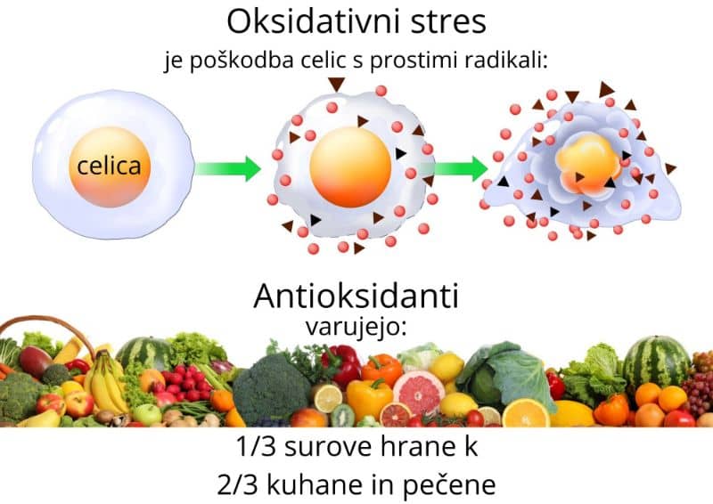 amritana-Oksidativni-stres-je-poskodba-celic-s-prostimi-radikali-visoko-reaktivne-kisikove-spojine-ZAPER